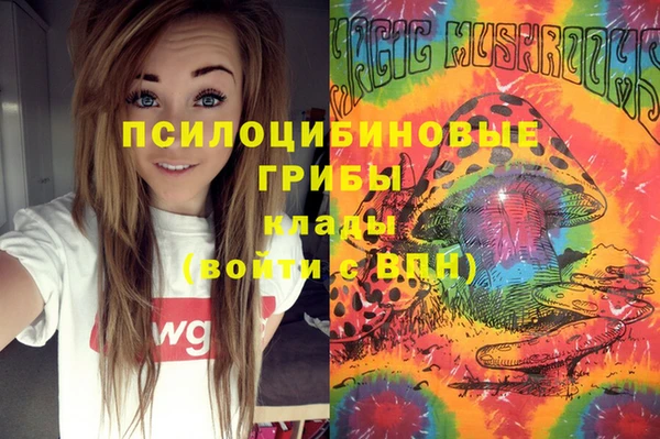 сатива Балабаново